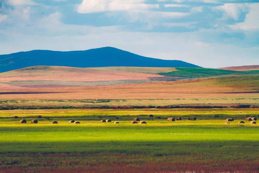 内蒙古，致敬嘉宾与观众朋友们