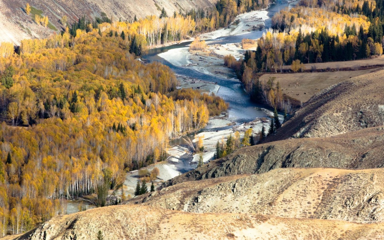 新疆小巷寻宝记，邂逅特色小店秘境